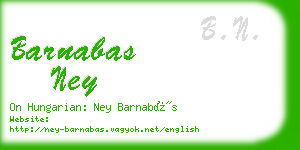 barnabas ney business card